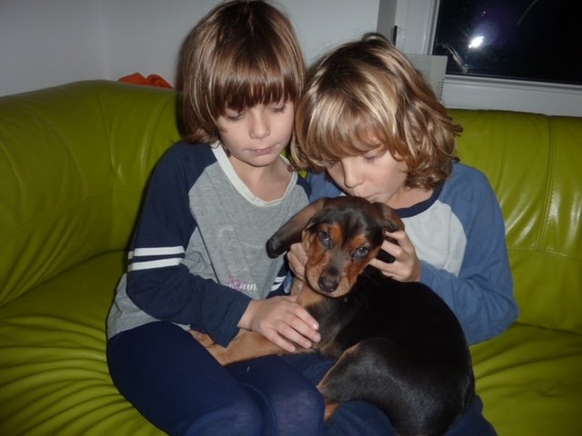 P1010389.JPG