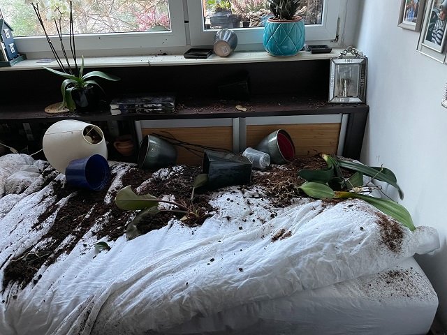 To dzieło mojego aniołka po godzinie mojej nieobecności. Potem 4 sprzątania