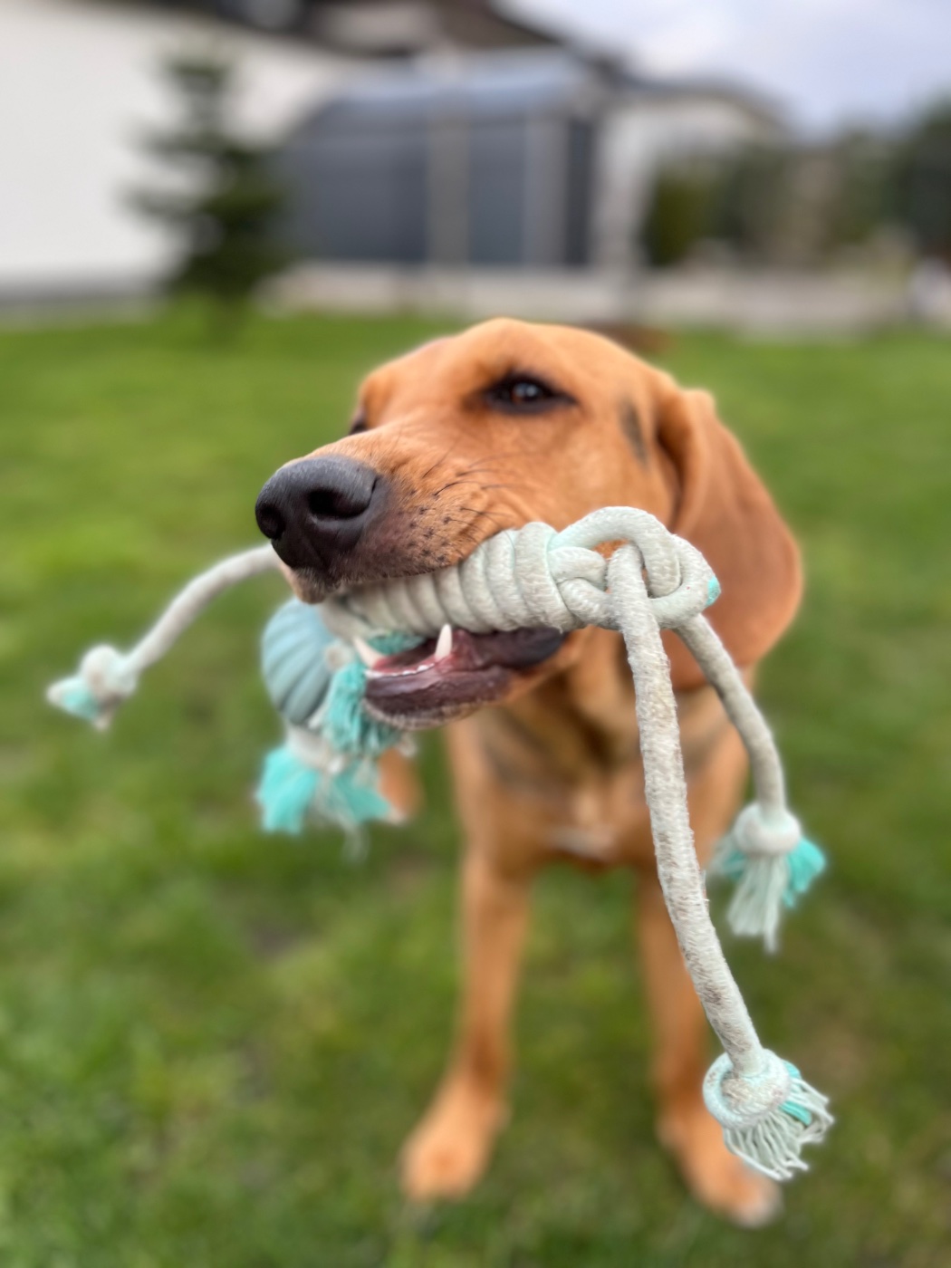 7328EA99-010B-4660-8F76-3B8C45F902AE.jpeg