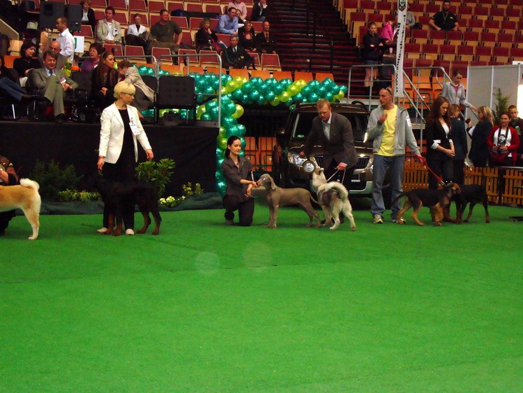 DSC09487_resize.JPG