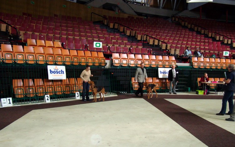 DSC09327_resize.JPG