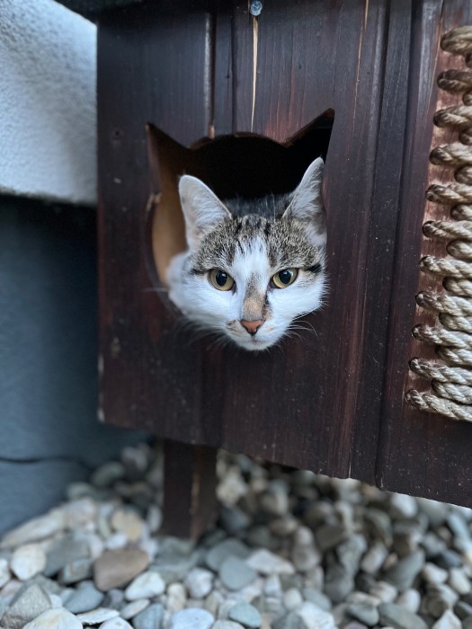 IMG_0156.jpeg
