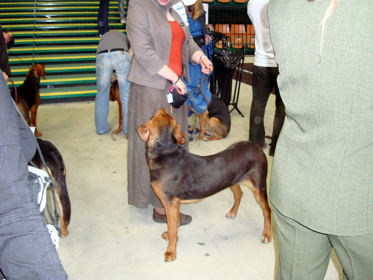 DSC09337_resize.JPG