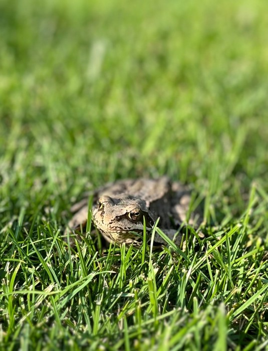 IMG_1491.jpeg