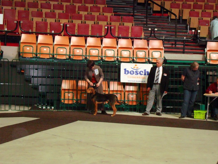 DSC09347_resize.JPG