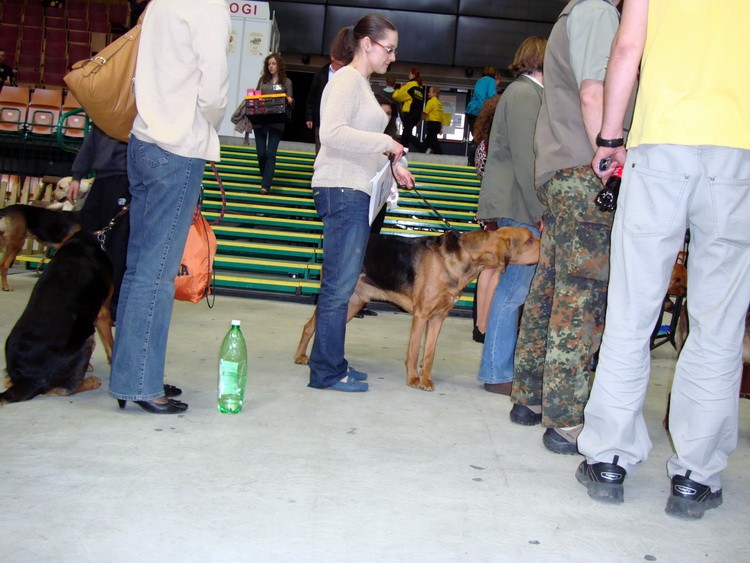 DSC09353_resize.JPG
