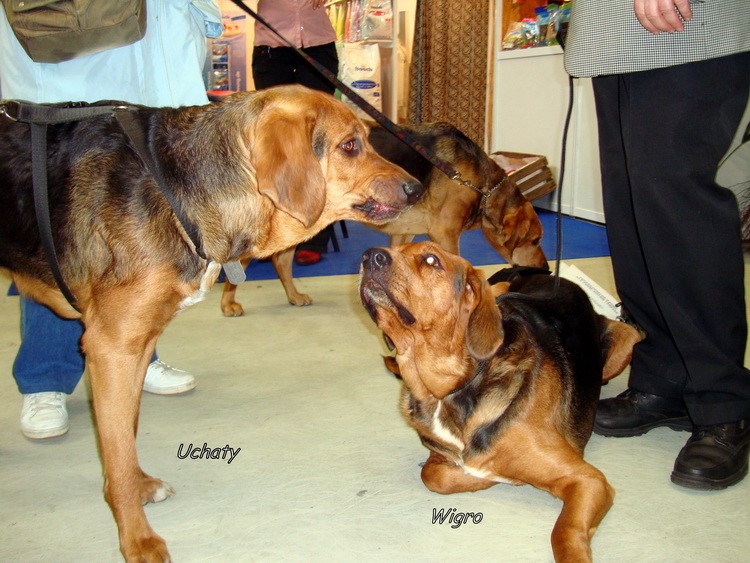 DSC09356_resize.JPG