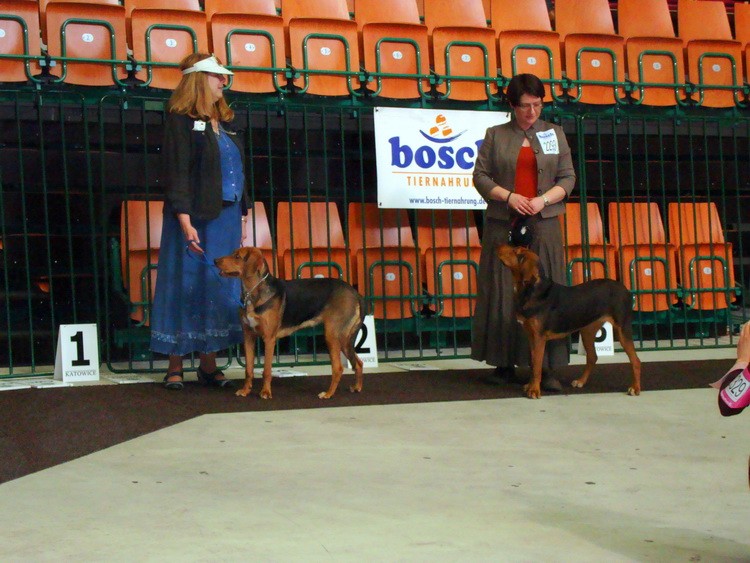 DSC09360_resize.JPG