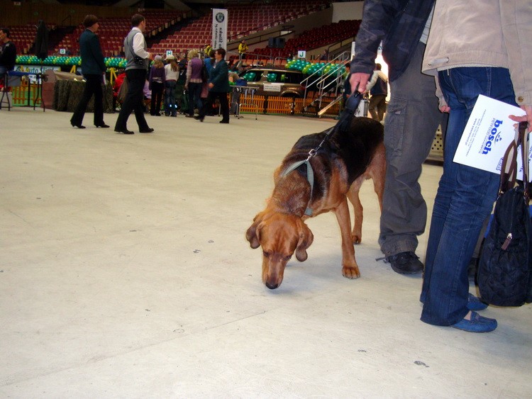 DSC09372_resize.JPG