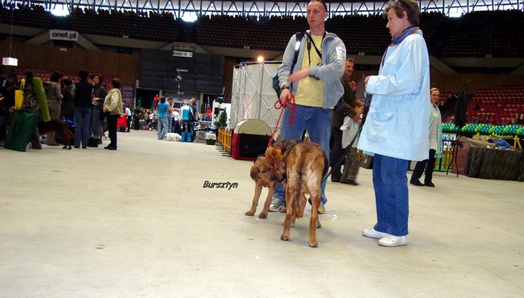 DSC09373_resize.JPG