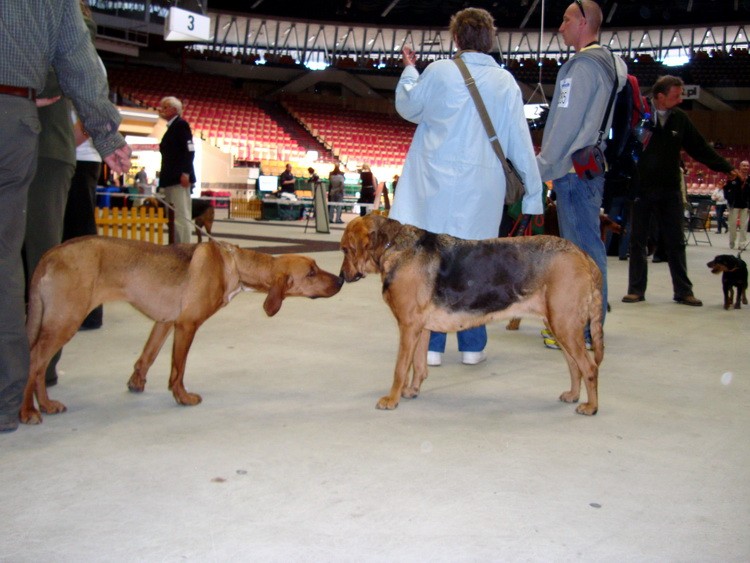 DSC09376_resize.JPG