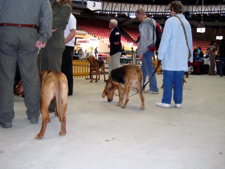 DSC09378_resize.JPG