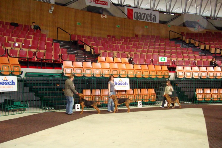 DSC09379_resize.JPG