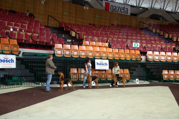 DSC09383_resize.JPG