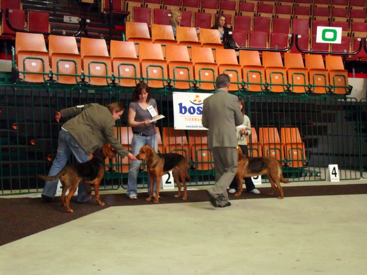 DSC09384_resize.JPG