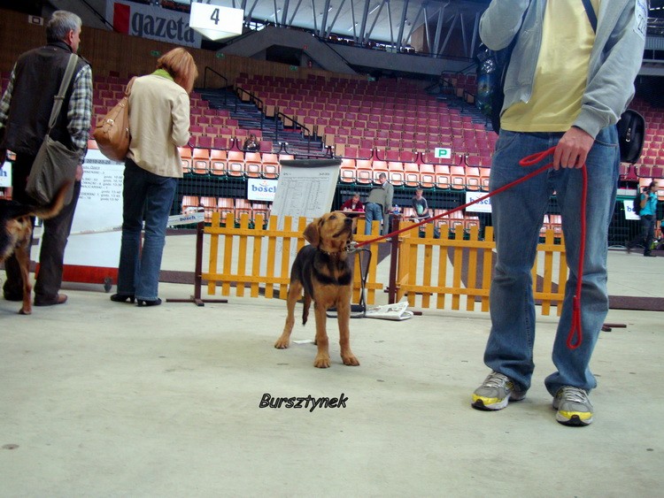 DSC09396_resize.JPG