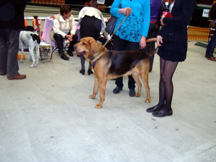 DSC09474_resize.JPG