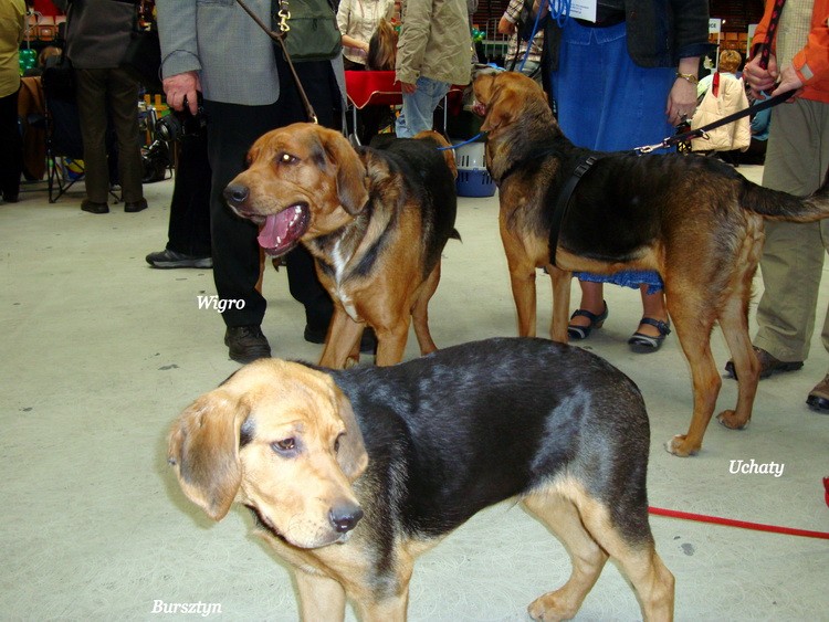 DSC09470_resize.JPG