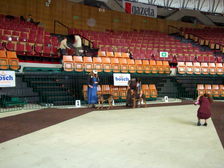 DSC09359_resize.JPG