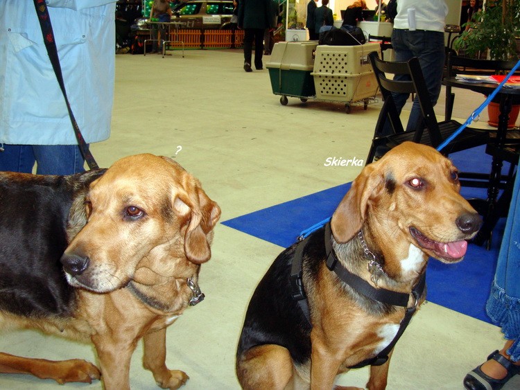 DSC09370_resize.JPG