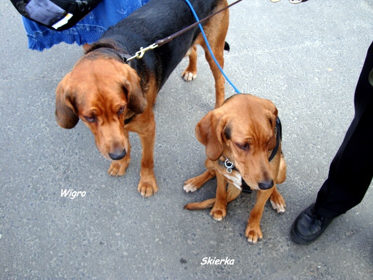 DSC09405_resize.JPG