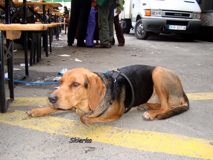DSC09426_resize.JPG