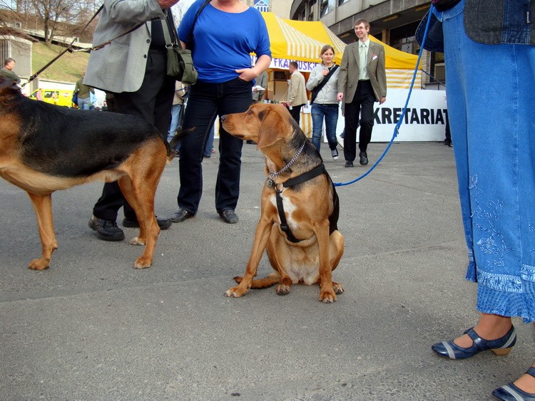 DSC09432_resize.JPG