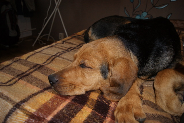 DSC00209.JPG