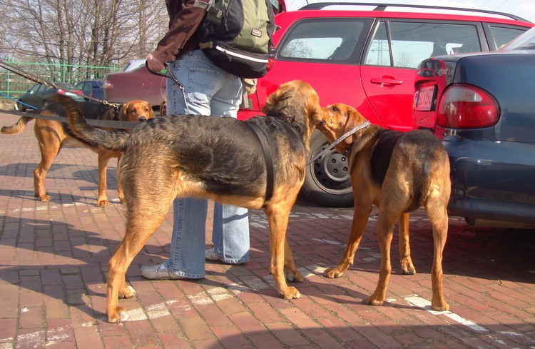 Nareszcie w spokoju mogę dać Ci buziaka !!!