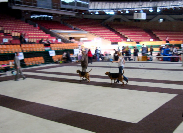 DSC09295_resize.JPG