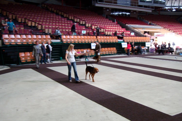 DSC09299_resize.JPG