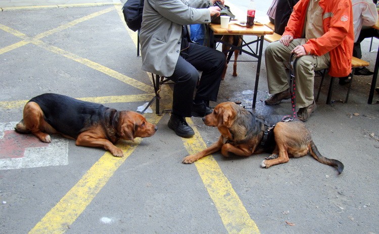 DSC09408_resize.JPG