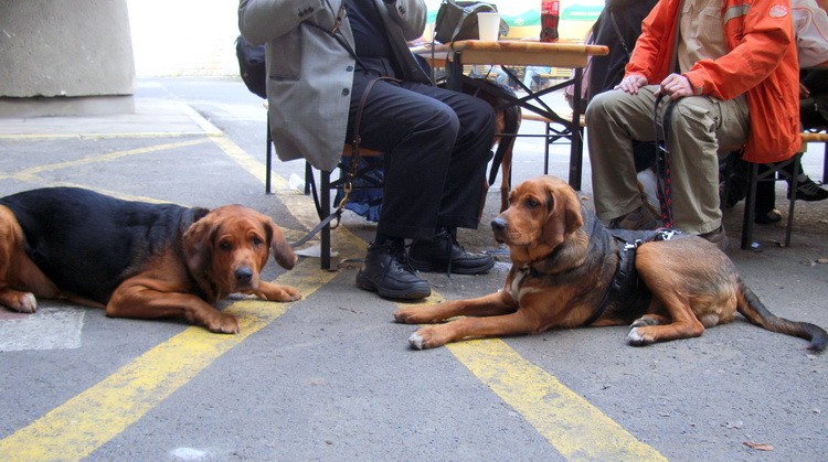 DSC09409_resize.JPG
