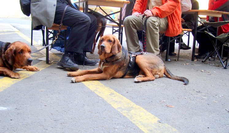 DSC09410_resize.JPG