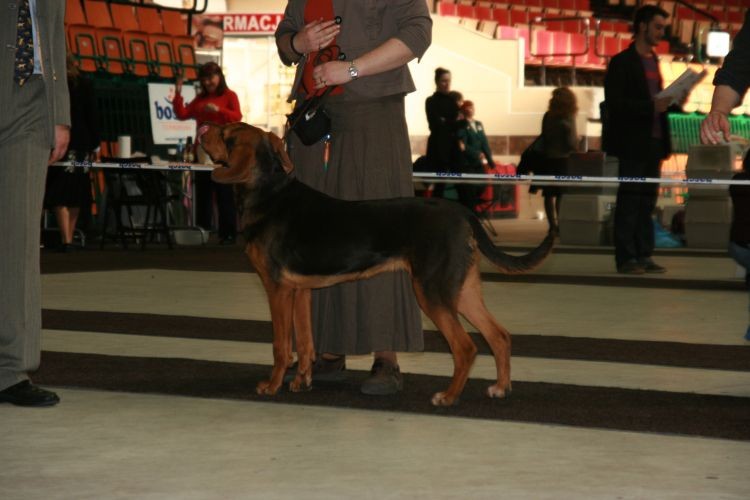 frajda.jpg