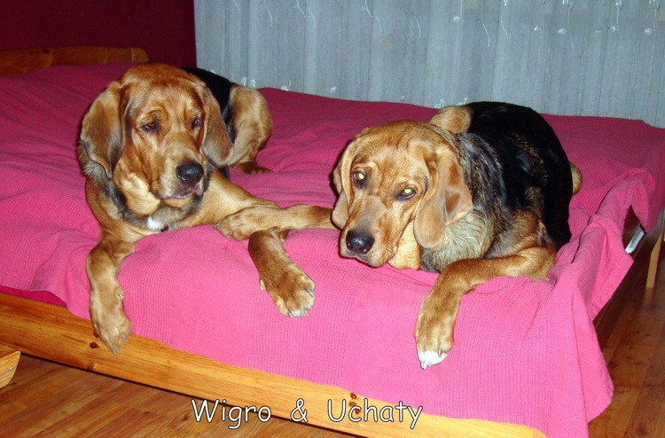 Friends forever :)