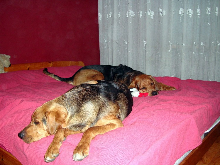 Śpimy