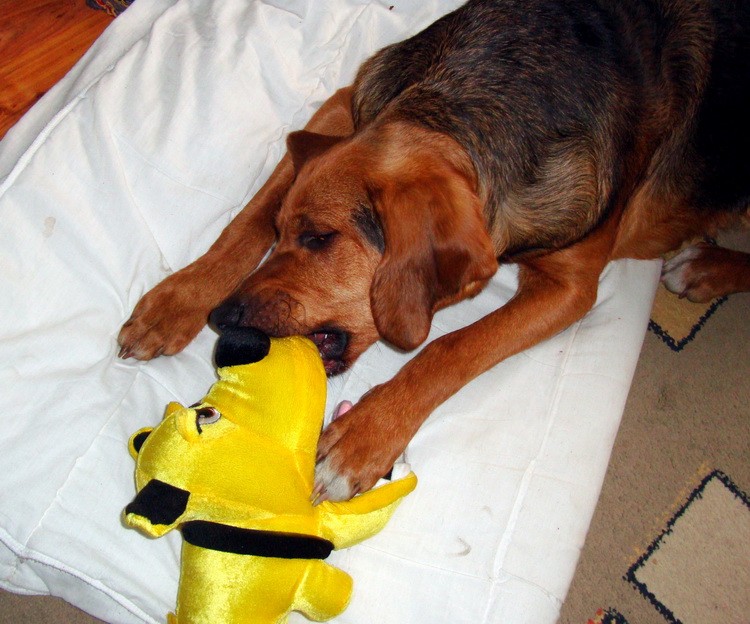 DSC09513_resize.JPG