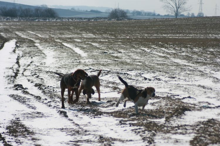 Pokazywał nam jak szybko na krótkich nóżkach można biegać.