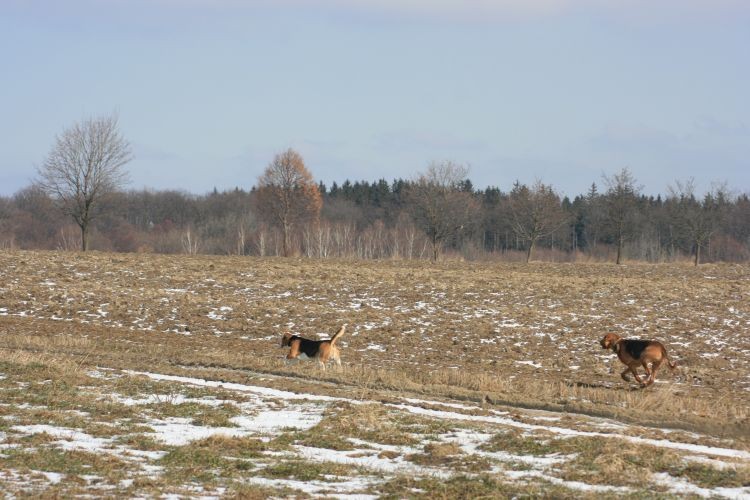 Wracamy do domu.