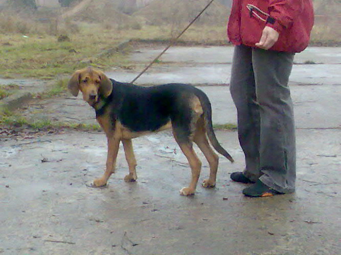 Zdjęcie010.jpg