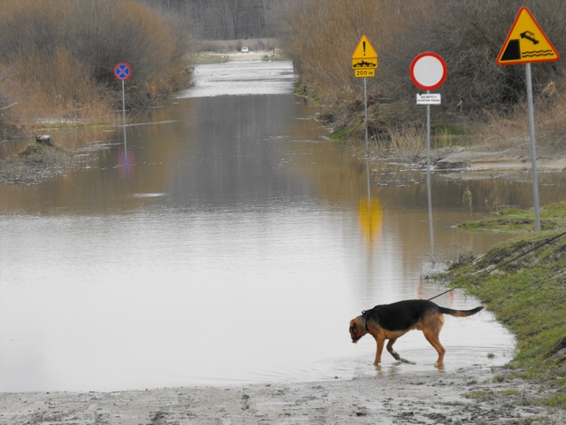 DSCF5079.JPG