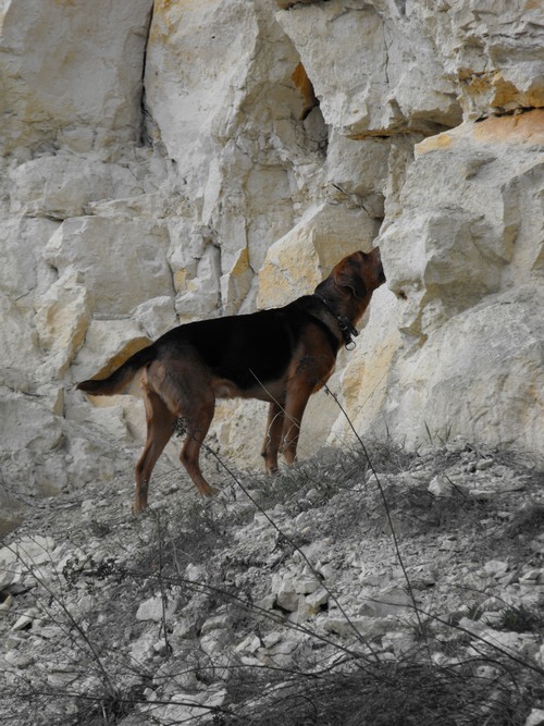DSCF5090.JPG