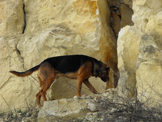 DSCF5092.JPG