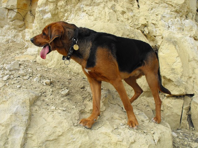 DSCF5104.JPG