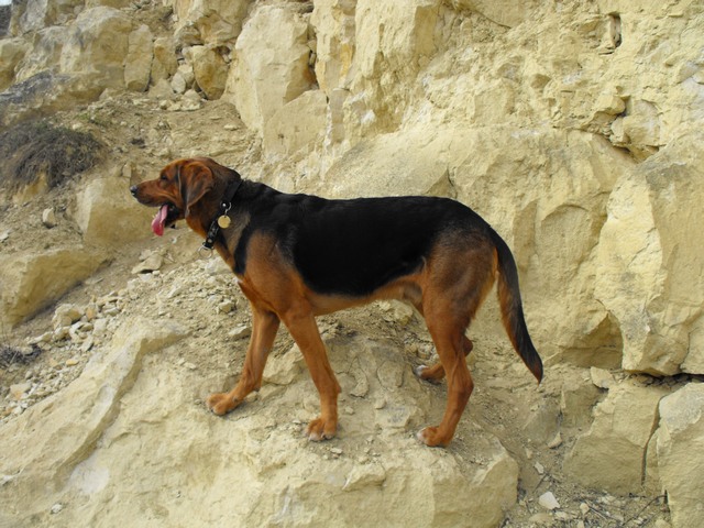 DSCF5105.JPG