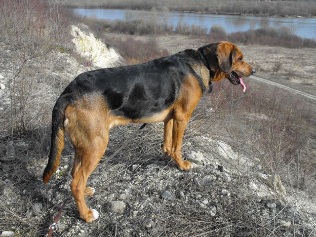 DSCF5119.JPG