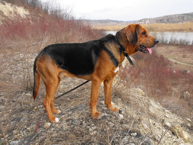 DSCF5124.JPG