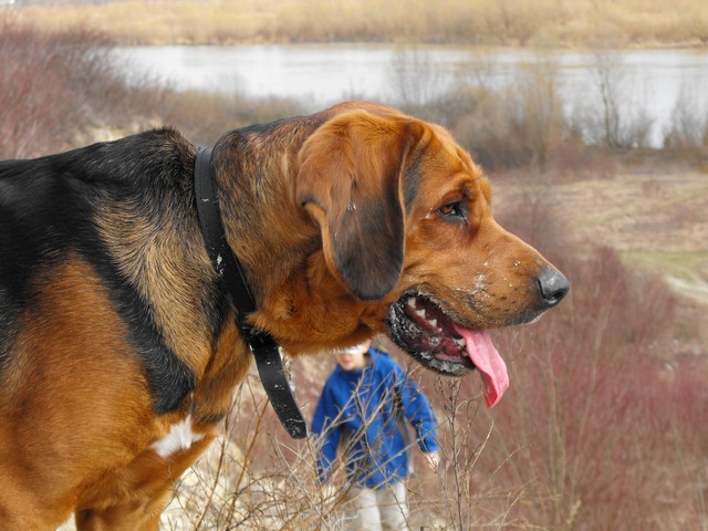 DSCF5125.JPG