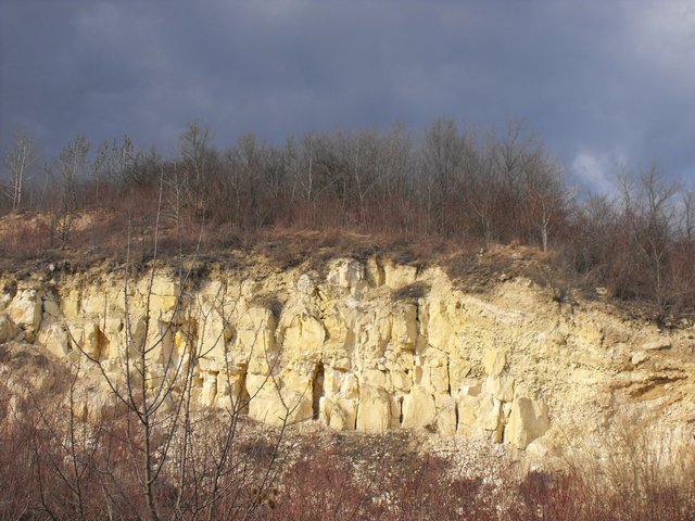 DSCF5146.JPG